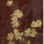 Gaston SUISSE (1896-1988) - Ignicolores dans les cactées en fleurs. (Panneaux)